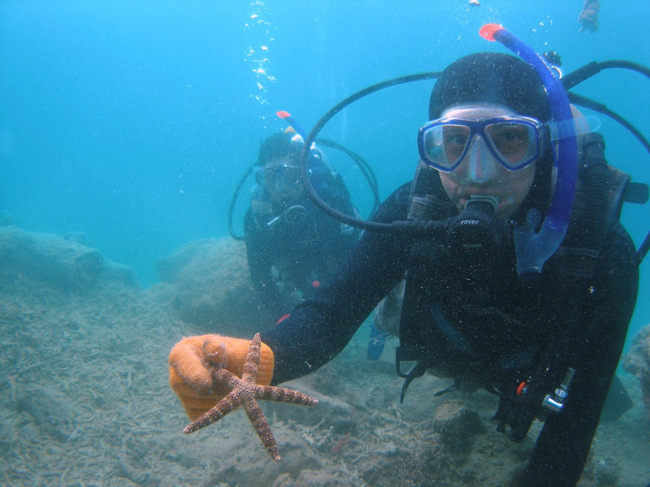 Selim Koç diving, holding a starfish